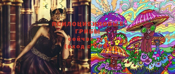 молекула духа Алексин
