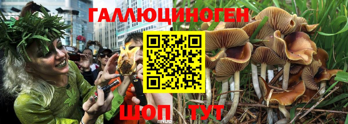 Псилоцибиновые грибы Psilocybine cubensis  Псилоцибиновые грибы мицелий  Саранск  Вход с VPN 